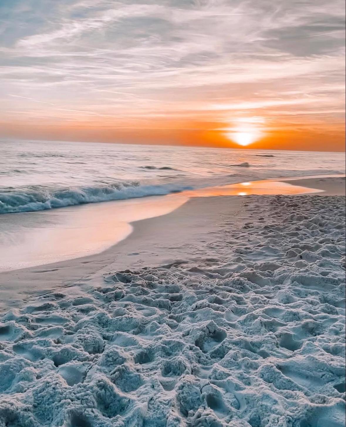 Pier Paradise At Calypso Tower 3 #809 By Nautical Apartment Panama City Beach